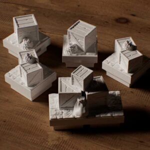 Bundle Caixas - Shadow of Garravik - 5 Caixas