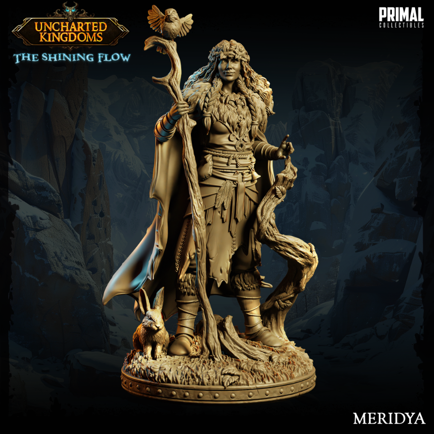Miniatura de RPG Parvus Miniaturas